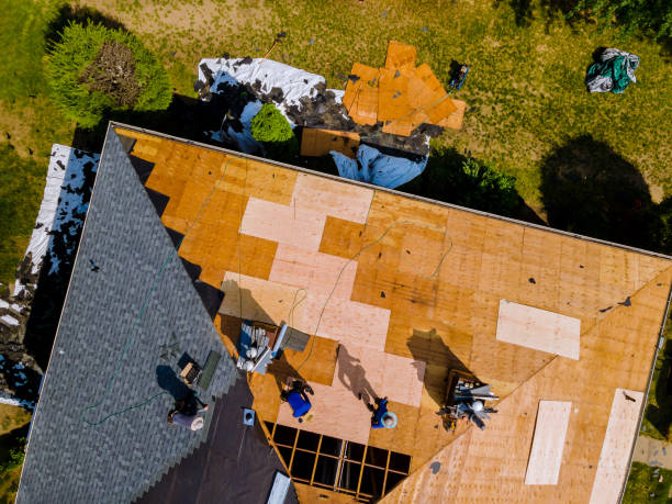 Best Roof Waterproofing Services  in Madrid, IA